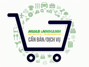 Shop Đồ Chơi Trẻ Em