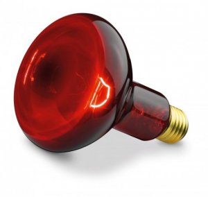 Bóng đèn hồng ngoại trị liệu Philips 100W hàng nhập khẩu chính hãng - Công ty Hợp Phát