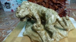 Hổ lu nghiến, vân cực đẹp!!