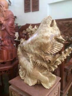 Cặp đôi cá kim long. Chất gỗ lu nghiến.