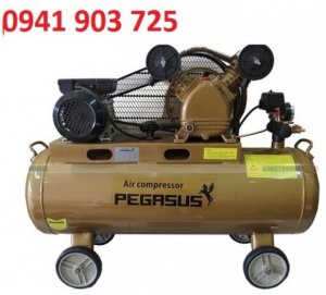 MÁY NÉN KHÍ DÂY ĐAI PEGASUS, TM- V-0.25/8-180L, máy nén khí 3hp