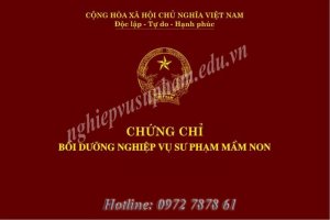 Tuyển sinh khóa Nghiệp vụ sư phạm mầm non