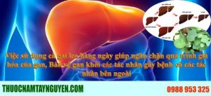 Gan đang bị ảnh hưởng bỏi các tác nhân như rượu, bia, ô nhiểm môi trường và đặc biệt là virus
