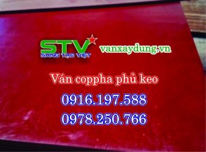 ván coppha xây dựng phủ phim và phủ keo