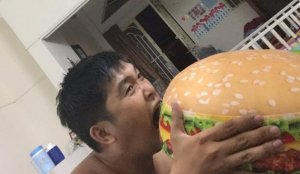 Gối Hamburger 3D
