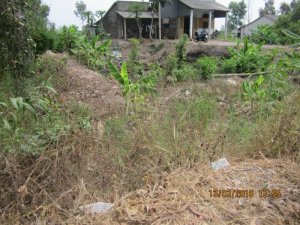 Cần bán đất thị trấn thạnh hóa