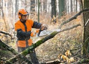 Máy Cưa STIHL 381 giá rẻ, bảo hành tốt nhất