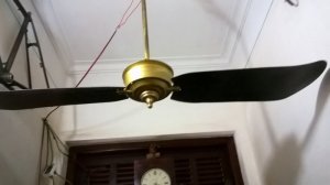 Quạt trần 2 cánh marrelii