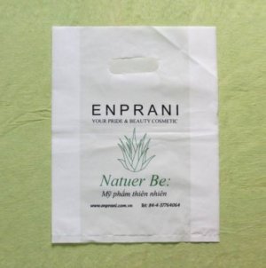 In túi nilon giá rẻ nhất Hà Nội