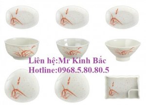 Bát đĩa khách sạn nhà hàng, bát đĩa nhựa phíp cho nhà hàng nhật hàn