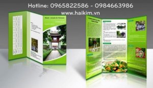 Thiết kế đồ họa, thiết kế tờ rơi, thiết kế catalouge giá rẻ, thiết kế broucher giá rẻ