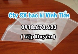 Túi PA/PE/OPP túi zipper giá rẻ cạnh tranh