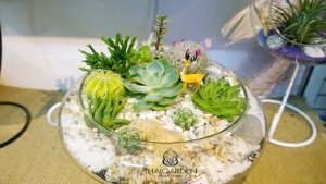 Sạch sẽ, thẩm mỹ cao, sang trọng , dễ chăm sóc và và hơn hết là có thể mang cả thiên nhiên vào không gian kín.