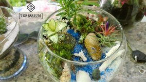 Add showroom: Số 30 Đường Trần Minh Quyền, P.11, Q.10, Tp.HCM.
