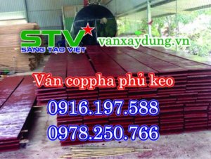 cốp pha phủ phim