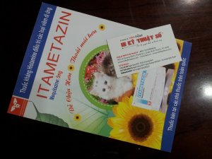 In tờ rơi lấy ngay tại TPHCM cùng In Kỹ Thuật Số | Hỗ trợ in tờ rơi số lượng ít, in tờ rơi sử dụng ngay, in tờ rơi số lượng còn thiếu tại TPHCM