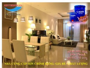 Sơn nước nội thất giá rẻ, Đạilý cung cấp sơn nước nội thất CADIN giá rẻ nhất Sài Gòn