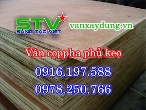 ván coffa khối đỏ phú quốc