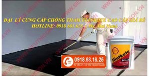 Chống thấm Flinkote gốc dầu giá tốt nhất thị trường-đại lý cung cấp sơn chống thấm giá rẻ cho công trình