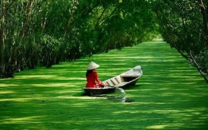 Tour Miền Tây 3 ngày 2 đêm, Châu Đốc Trà Sư