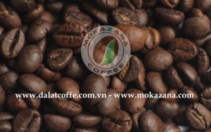 Cà phê hạt rang chất lượng cao - Mokazana Coffee