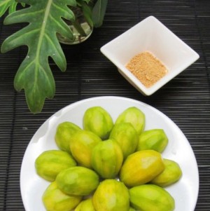 Chuyên cung cấp giống cây cóc thái