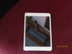 Ipad mini 16gb, khe sim 3GB