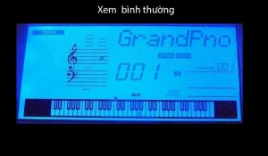 PSR -E4xx. sau thời gian sử dụng hình mờ mất nét (yếu contras)