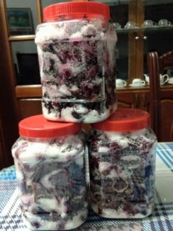 Hoa atiso đỏ tươi khu vực Nam bộ
