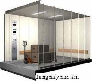 Công ty lắp đặt và bảo trì thang máy mai tâm