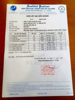 Sữa ong chúa tươi Mộc Hà
