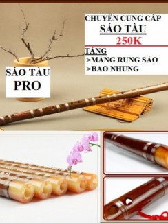 Chuyên sáo trúc nghệ nhân chỉ 120k