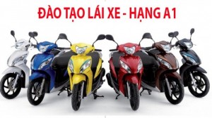 Trung Tâm Đào Tạo Lái Xe Ôtô Hạng B2-C Giá Rẻ Nhất TpHCM