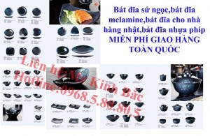 Bát đĩa sứ ngọc,bát đĩa melamine,bát đĩa lẩu nướng BBQ, giao hàng toàn quốc