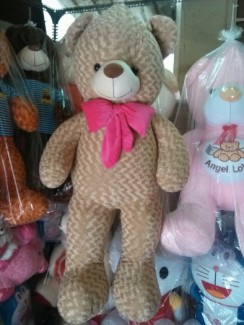 Gấu Teddy Giá Rẻ