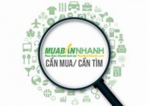 Cần mua xe ô tô cũ giá dưới 80tr, xe sang tên được liên hệ
