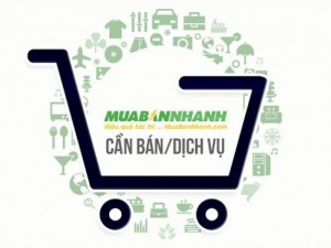 Bán vườn cao su 10 năm tuổi 2.7ha giá 2.6 tỉ, cách quốc lộ 22B 400m
