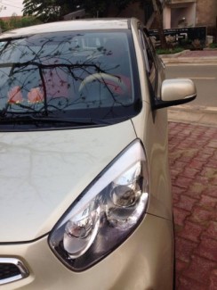 Kia morning 2013