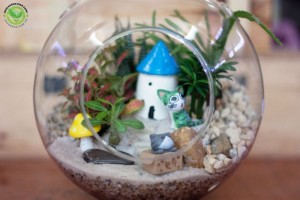 Terrarium-Nhà Mèo con