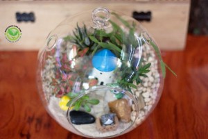 Terrarium-Nhà Mèo con