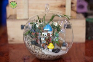 Terrarium-Nhà Mèo con