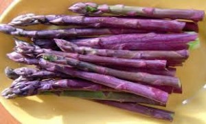 Hạt giống măng tây xanh, tím