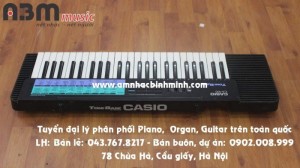 Đàn Organ Casio LK100 giá 700.000 vnđ