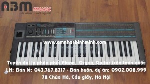 Đàn Organ Korg Poly800