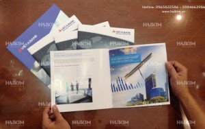 Thiết kế catalogue, thiết kế brochure, thiết kế tờ gấp giá rẻ tại Hà Nội