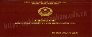 Cấp chứng chỉ quản lý trường mầm non