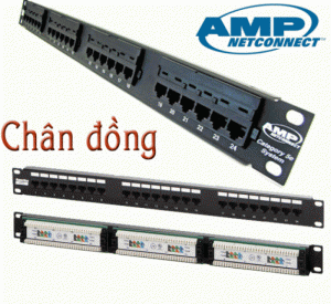 Patch Panel Cat6 - 48 Port, Nhân Liền