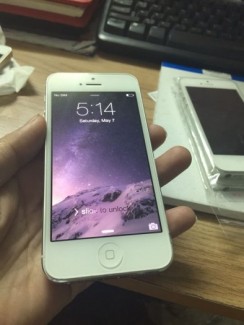Bán Phone 5 Quốc Tế màu trắng máy đẹp 99%