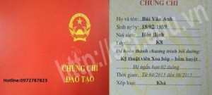 Đào tạo kỹ thuật xoa bóp bấm huyệt - Tác động cột sống