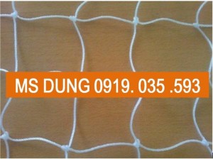 Lưới cẩu hàng lưới bao hàng container lưới an toàn cứu sinh